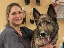 Check spelling or type a new query. Sicklerville Emergency Vet Pet Emergency