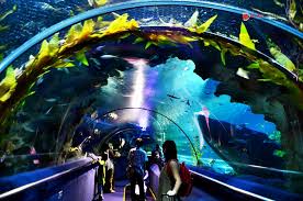 Pesan tiket aquaria klcc secara online dan dapatkan tiket aquaria kuala lumpur untuk mengunjungi salah satu akuarium terpopuler di asia. Aquaria Klcc Apa Yang Menarik Di Sini Pengalaman Saya