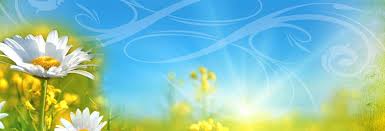 If anyone shopping for essentials in crossgates please feel free to help yourself to daffs. God At Work In Our Fellowship Ministry Crossgate Church