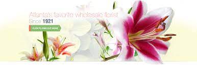 Same day flower delivery atlanta, ga offers exquisite flowers bouquet with same day delivery. Halls Atlanta Wholesale Florist