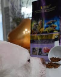 Profile for EarthWise Pet Supply & Grooming Liberty