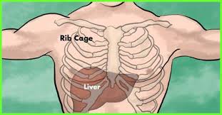 Pin On Health