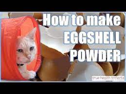 How To Make Raw Cat Food Without Chicken Bone Eggshell Powder Recipe Cat Lady Fitness Youtube Raw Cat Food Recipes Raw Cat Food Diet Cat Food