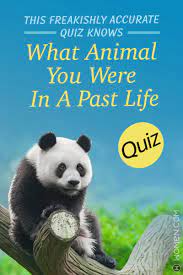 This Freakishly Accurate Quiz Knows What Animal You Were In A Past Life Life Quiz Fun Quizzes Past Life