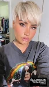 Finding the pixie cut you are willing to take the jump with is the hardest part. Demi Lovato S Hair Colors Demi Lovato Hair Pictures