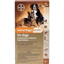 Medications, heartworm, flea & tick, pain relief, allergy relief Advantage Multi For Dogs Free 2 Day Shipping Walmartpetrx Com