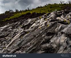 نتیجه جستجوی لغت [solidified] در گوگل