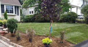We did not find results for: Sod Installation Almost Perfect Landscaping