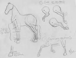Horse Legs Tutorial By Whytehawke On Deviantart Horse Drawings Drawings Horse Drawing Tutorial