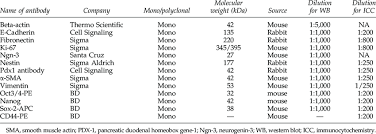 Antibody Information Chart Download Table