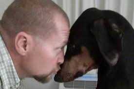 Fundraiser by Justin Daniel Vaught : Help Bill and His Dog Start Fresh