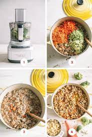 Homemade Dog Food Recipe College Housewife