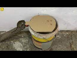Mouse Trap Papper Mouse Trap Diy Make A Rat Trap Easy Saving A Mice Youtube Mouse Trap Diy Rat Traps Rat Trap Diy