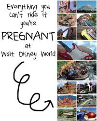 Just took the fam to orlando for the 'theme park' vacation. Disney Pregnancy