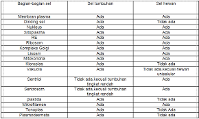 Sel hewan dan sel tumbuhan umumnya mempunyai ukuran yang sama. Bagian Bagian Sel Hewan Dan Tumbuhan Pengertian Perbedaan