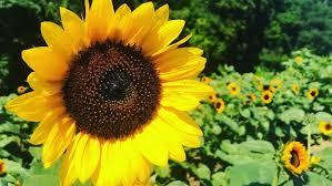 Laura schaeffer, do is a dermatologist in pataskala, oh. Events This Weekend In Central Ohio Include Tbdbitl Monster Jam Wine Festival Wtte