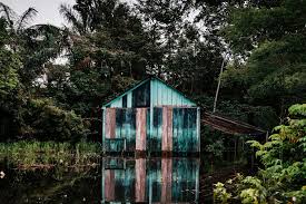 Maybe you would like to learn more about one of these? The Amazon Is A Woman Atmos