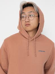 Patagonia Hoodie Boardshort Logo Uprisal HD