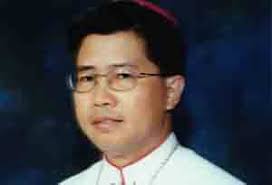 APEC and Mt. Mayon, the tale of two volcanoes