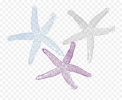 Starfish Prints Svg Vector Clip Art Svg Starfish Png Starfish Clipart Png Free Transparent Png Images Pngaaa Com