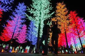 Artificial Trees Illuminated By Led Lights At I City In Shah Alam Kuala Lumpur Malaysia Colorful Trees Cool Pictures Pictures