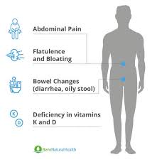Mar 24, 2021 · longstanding chronic pancreatitis can lead to type 1 diabetes or pancreatic insufficiency. What Is Exocrine Pancreatic Insufficiency Ben S Natural Health