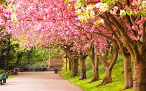 Spring nature wallpaper free download. Spring Scenery Wallpapers Group 71