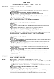 audit & assurance resume samples