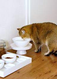 21 Ikea Hacks Your Pets Will Appreciate Diy Cat Food Cat Diy Cat Food
