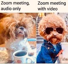 Zoom, is definitely starting to annoy us all. Zoom Meetings Funny Funny Zoom Meeting Meeting Memes Meetings Humor Funny Animal Jokes