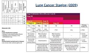 Login Sesatsxi Cancer Stages Cancer Exam