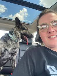 Lost dog ebony in crivitz, wisconsin area