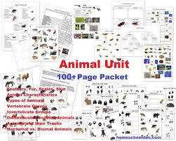 Animal Unit Vertebrate Invertebrate Animals Worksheet
