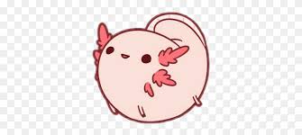 Choose any of 4 images and try to draw it. Freetoedit Cute Kawaii Axolotl Seacreature Pusheen Axolotl Clipart Stunning Free Transparent Png Clipart Images Free Download