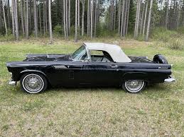 Image result for Raven Black 1956 Thunderbird