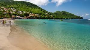 The pandemic created a perfect storm for a floral boom. Die 17 Schonsten Strande Auf Martinique Costa Kreuzfahrten