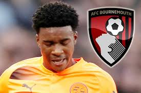 Bournemouth chasing £2million Reading whizkid Omar Richards in January  window
