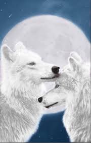 Amor En Luna Llena Lycan Anubis Armando Wolf Pictures Wolf Love Wolf Artwork