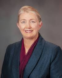 City council incumbents to face little competition in upcoming elections