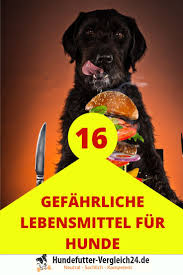 Pin Auf Unsere Hundewelt