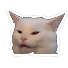 Women Yelling At Cat Meme Sticker Meme Stickers Cute Laptop Stickers Preppy Stickers