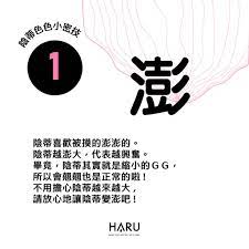 陰蒂高潮6招！因為陰蒂，女人搭上無限高潮列車–HARU