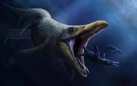 Image result for Sinopteridaceae