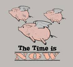 Electronics Cars Fashion Collectibles Coupons And More Ebay Flying Pig Pig Shirts Pig Art