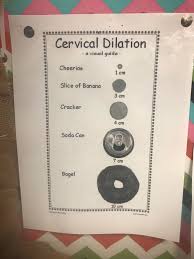 Active labor occurs between 3 and 7 cm dilated. Chart Illustrating Dilation Of Cervix During Labor Mildlyinteresting