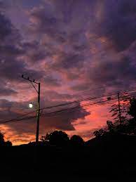 Amaneceres y atardeceres árboles rama silueta naturaleza оcaso, siluetas. Atardecer Sunset Fotografi Alam Pemandangan Estetika Langit