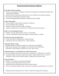 To do this, you need to have a professional development plan. Professional Development Options