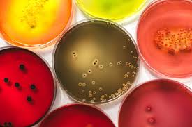 Viome.com has been visited by 10k+ users in the past month At Home Hormone Tests What They Really Reveal Sunday Edit