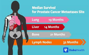 Men With Prostate Cancer Metastasized To The Liver Have Worst Overall Median Survival Cancer Therapy Advisor