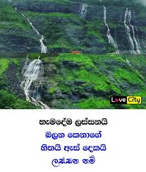 Maybe you would like to learn more about one of these? Bike Wadan Download Adara Nisades